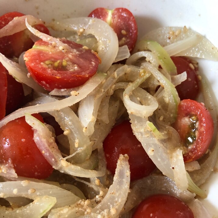 簡単!トマトと玉ねぎのさっぱりサラダ
